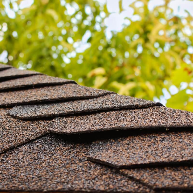 Roof shingles closer view