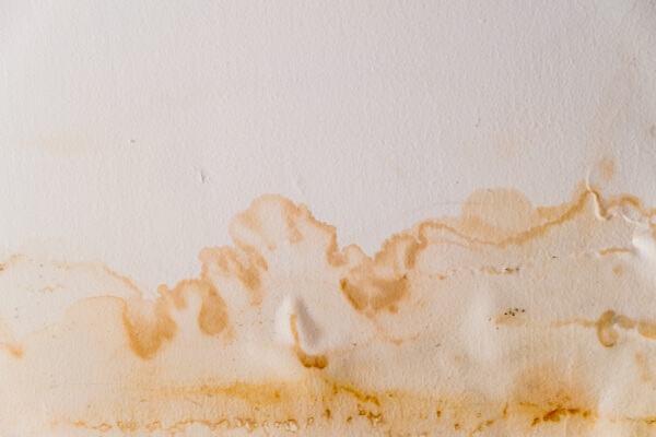 Water Stains on Ceiling