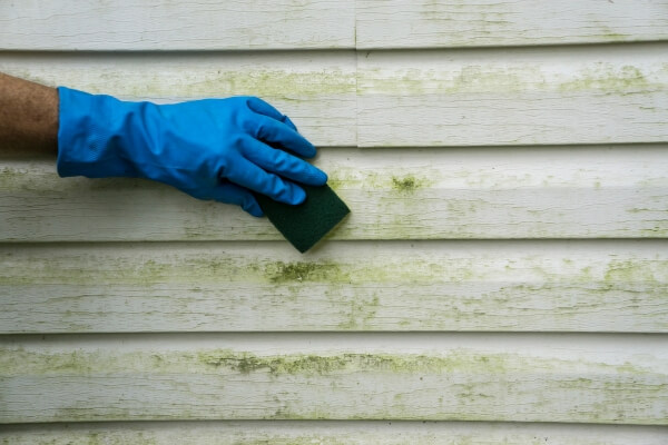 siding damage repair